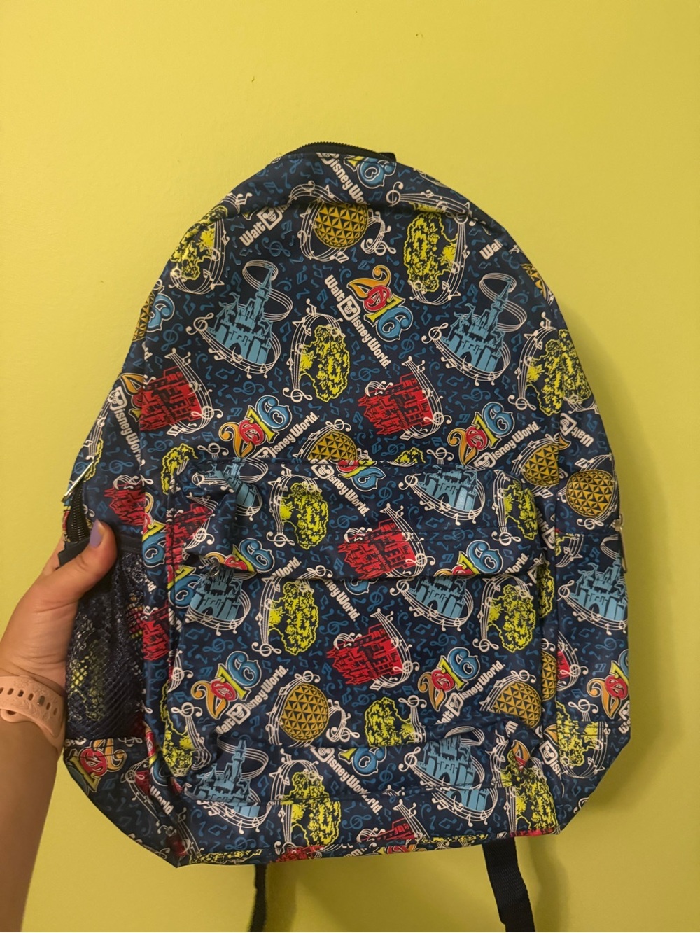 Walt Disney world 2016 backpack